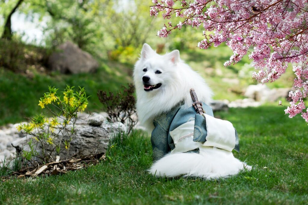 Can Dogs Eat Broccoli