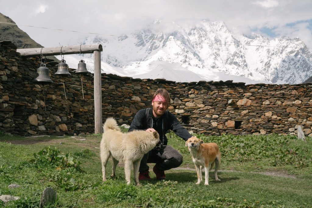 can dogs eat parmesan rind