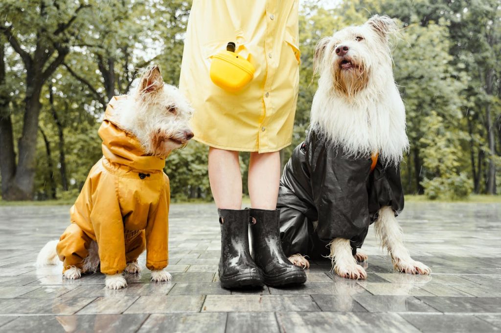 can dogs eat durian fruit